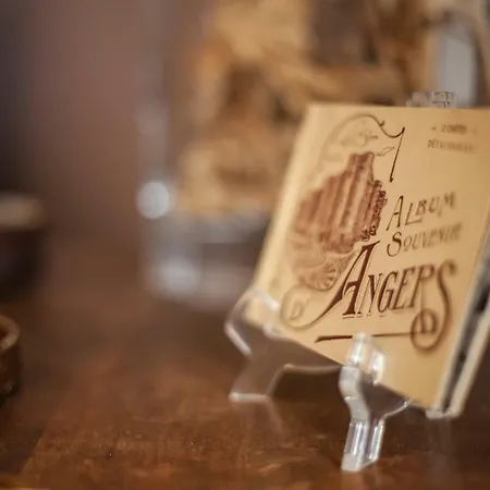 Bed and Breakfast La Pause Angevine Ανζέρ