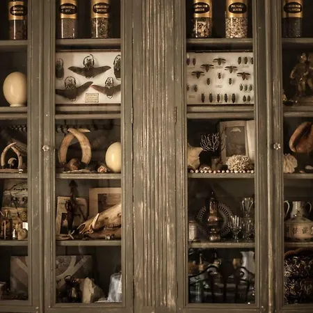 La Pause Angevine أنجير